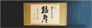 会社情報